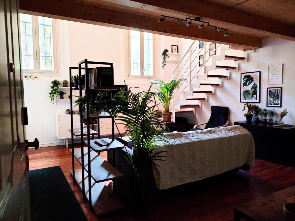 Accogliente Loft In Palazzo Storico Centrale Bolonya Dış mekan fotoğraf